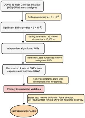 Susceptibility and severity of COVID-19 and risk of psychiatric disorders in European populations: a Mendelian randomization study